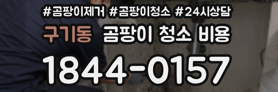 구기동 곰팡이 청소 비용