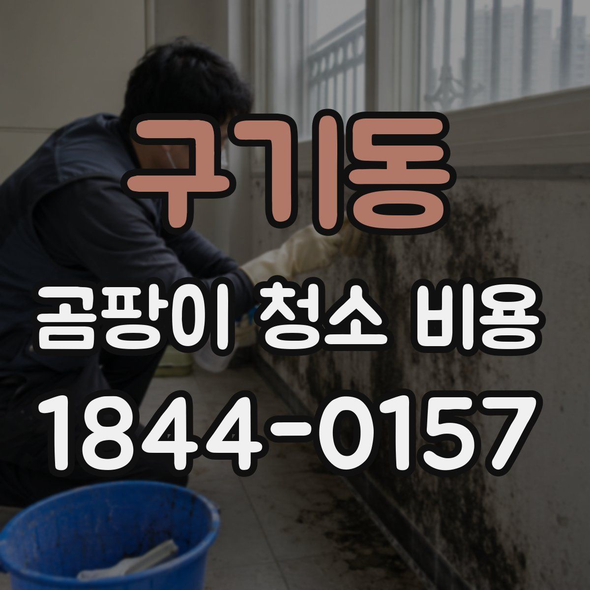 구기동 곰팡이 청소 비용