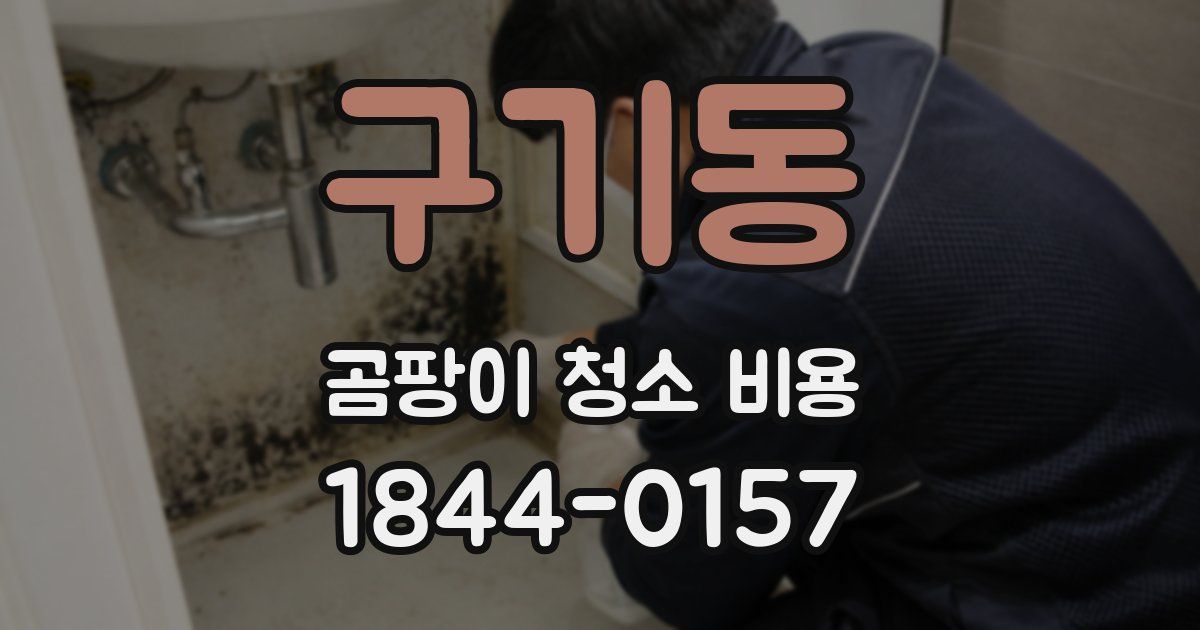 구기동 곰팡이 청소 비용