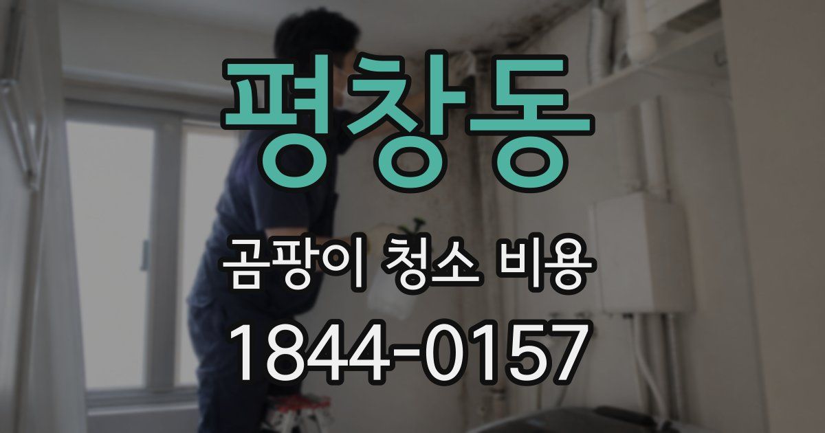 평창동 곰팡이 청소 비용