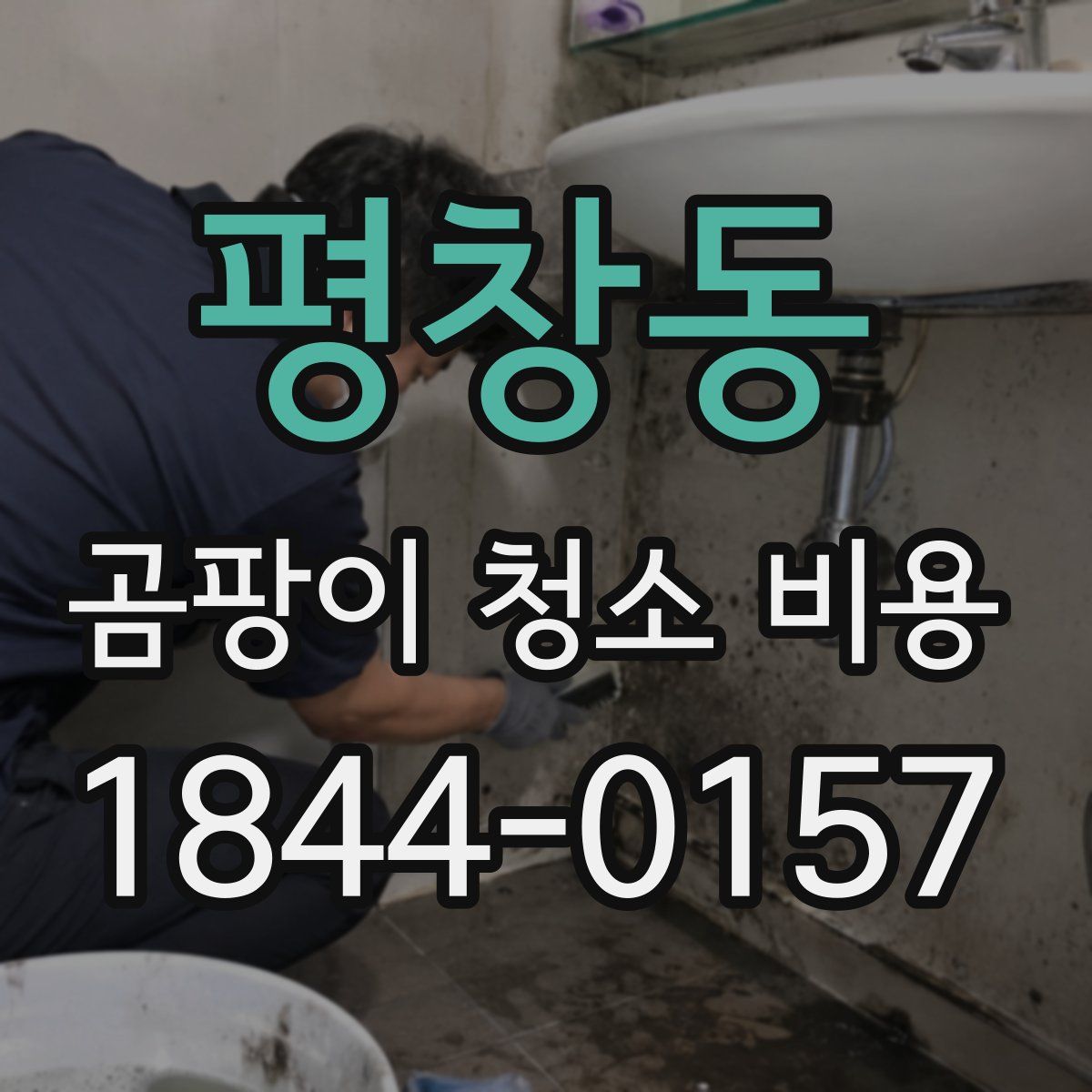 평창동 곰팡이 청소 비용