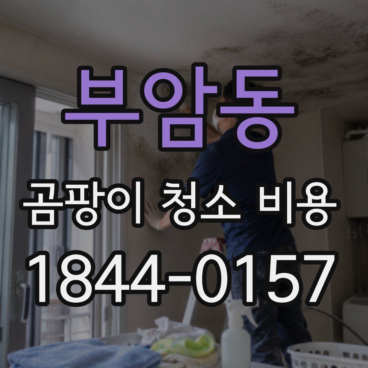부암동 곰팡이 청소 비용