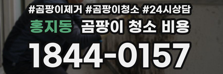 홍지동 곰팡이 청소 비용