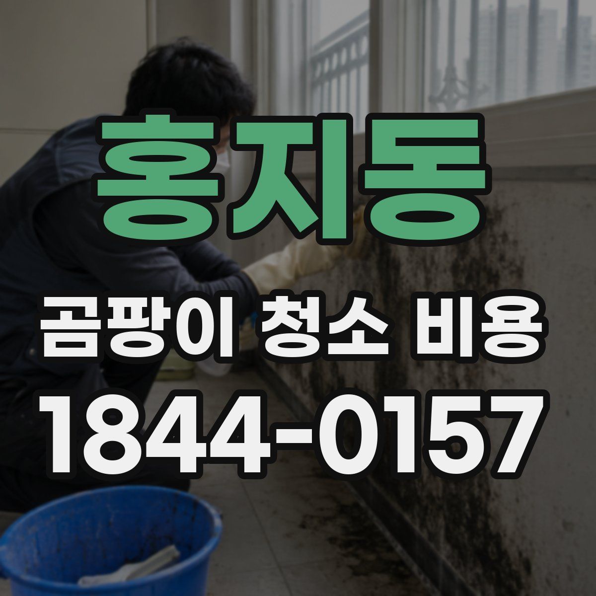 홍지동 곰팡이 청소 비용