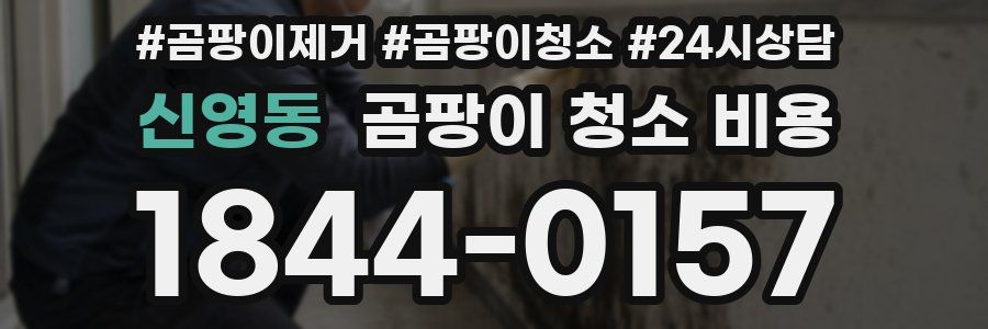 신영동 곰팡이 청소 비용