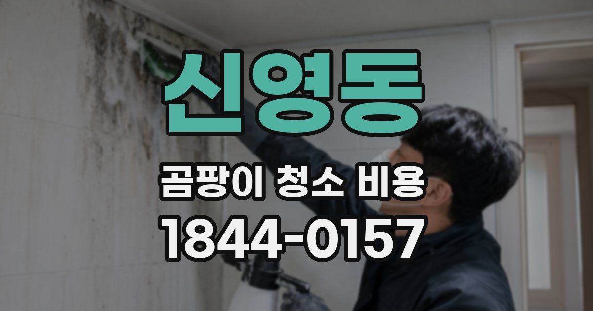 신영동 곰팡이 청소 비용