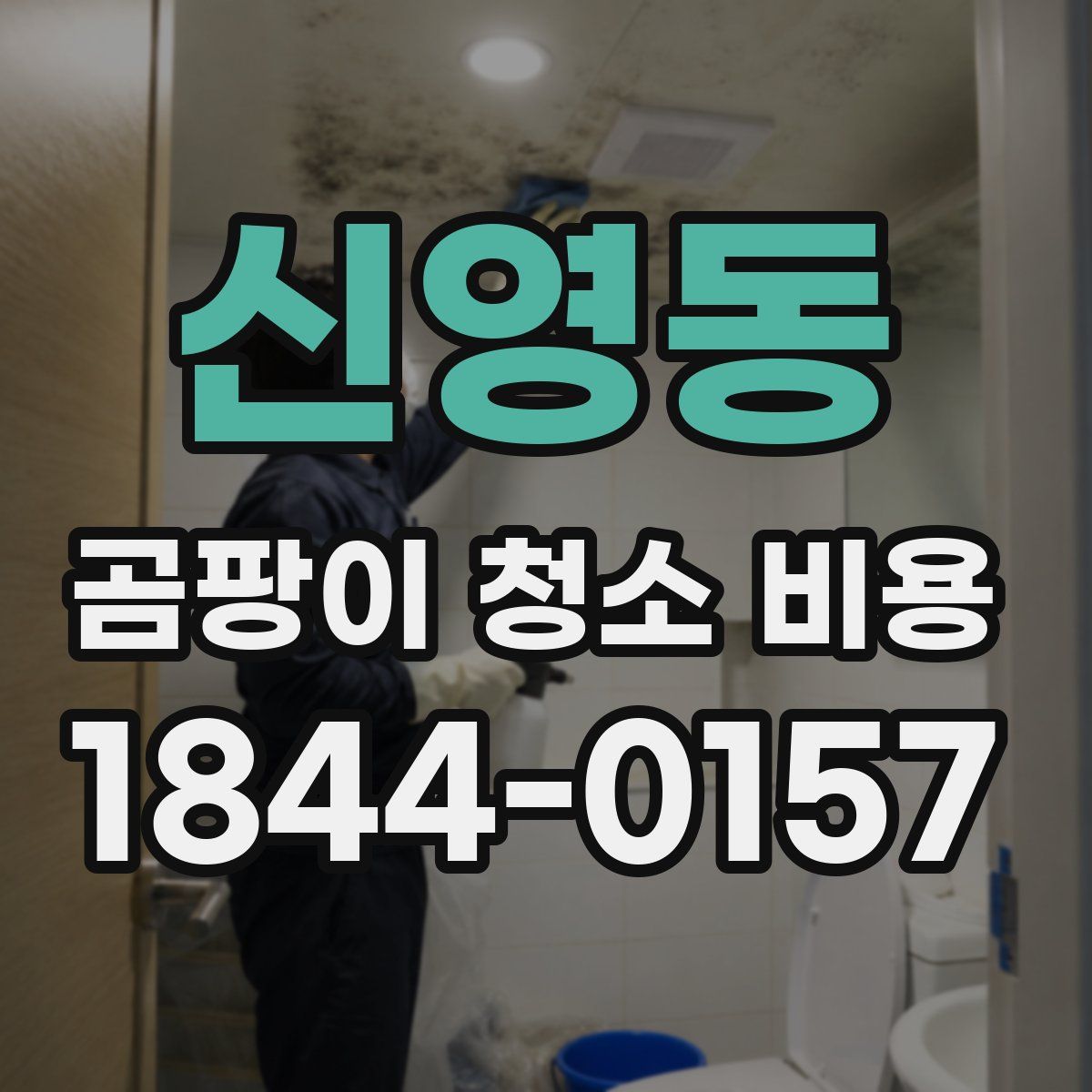 신영동 곰팡이 청소 비용