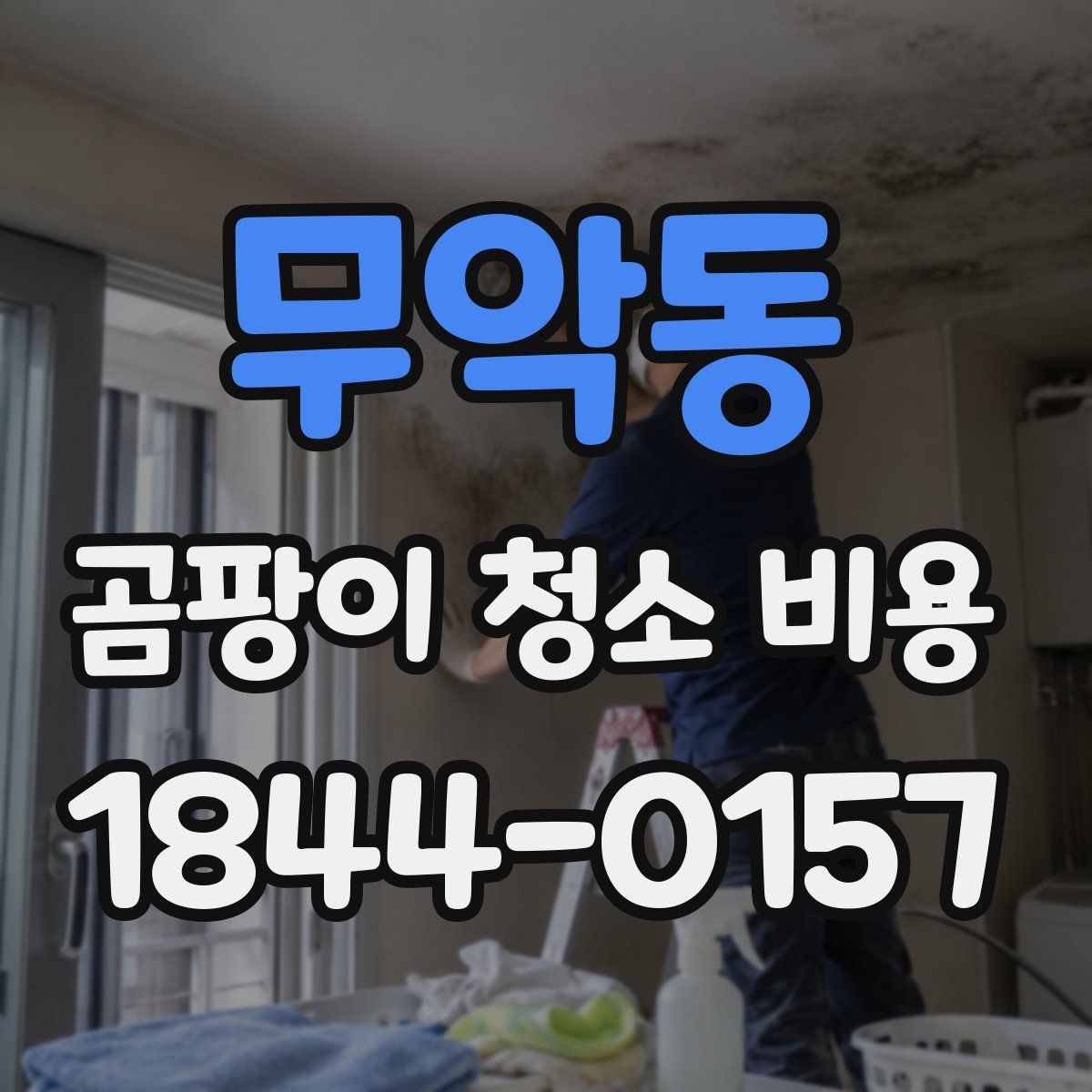 무악동 곰팡이 청소 비용