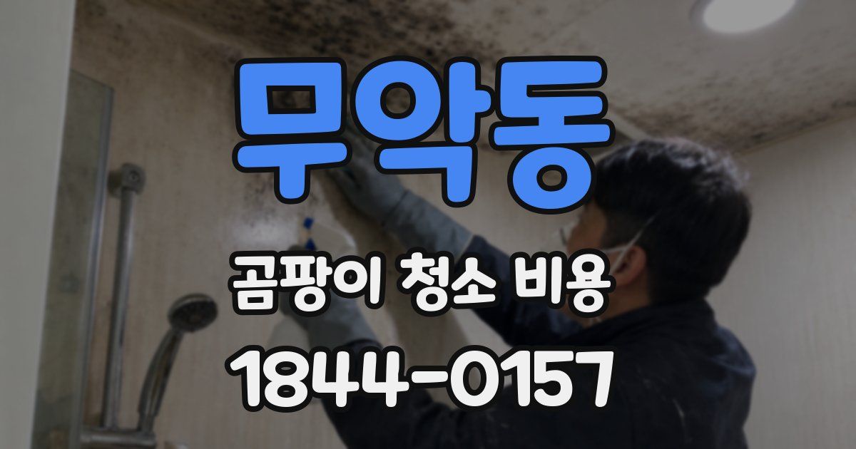 무악동 곰팡이 청소 비용