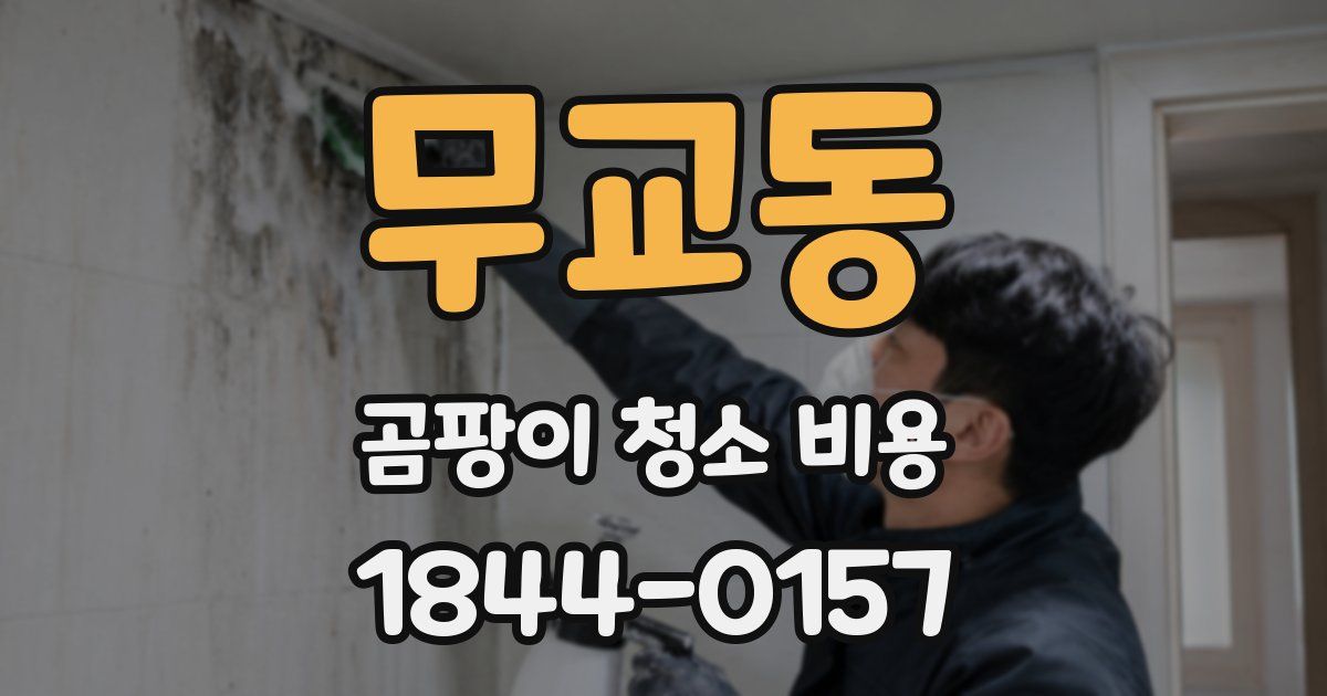 무교동 곰팡이 청소 비용