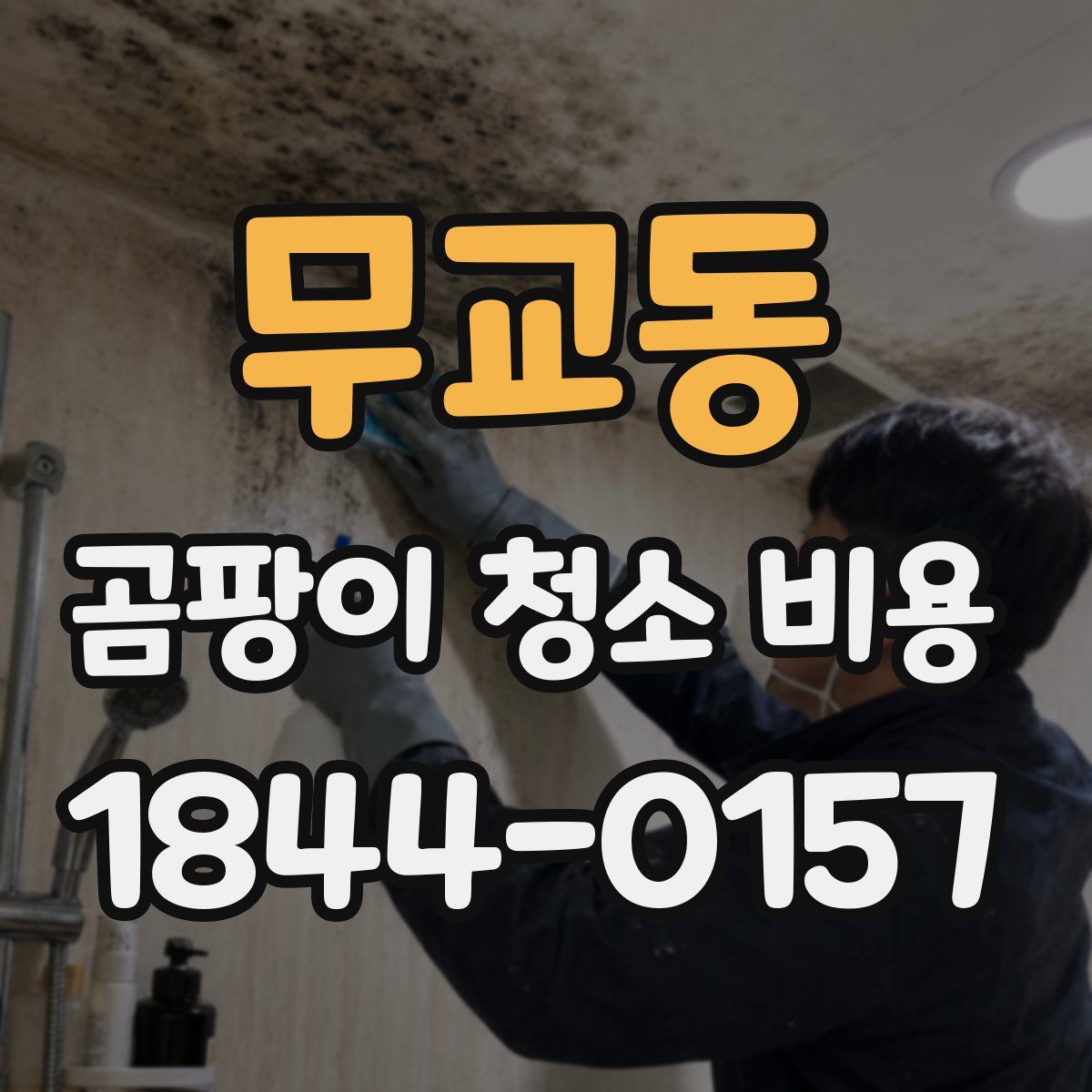 무교동 곰팡이 청소 비용