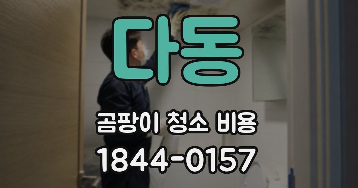 다동 곰팡이 청소 비용