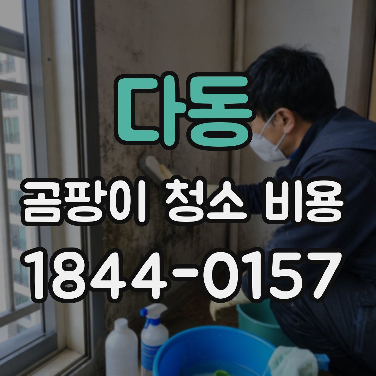 다동 곰팡이 청소 비용