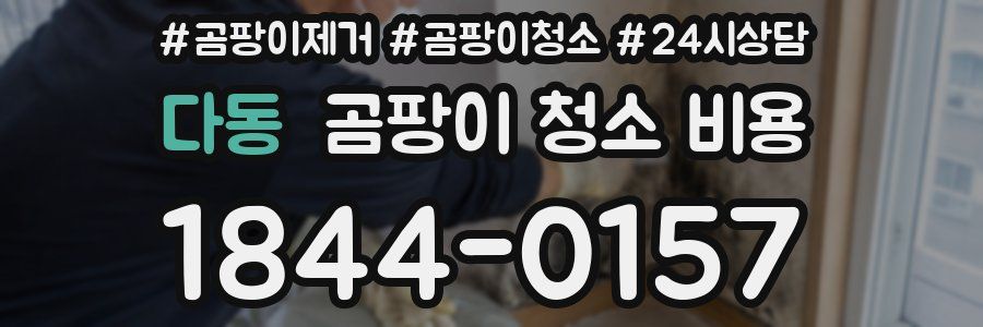 다동 곰팡이 청소 비용