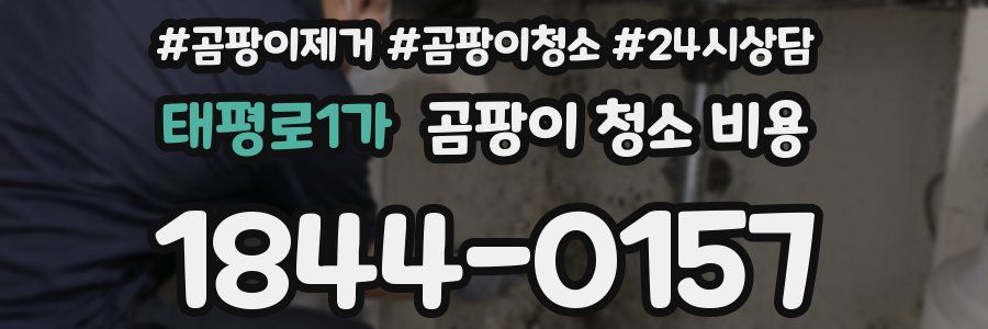 태평로1가 곰팡이 청소 비용