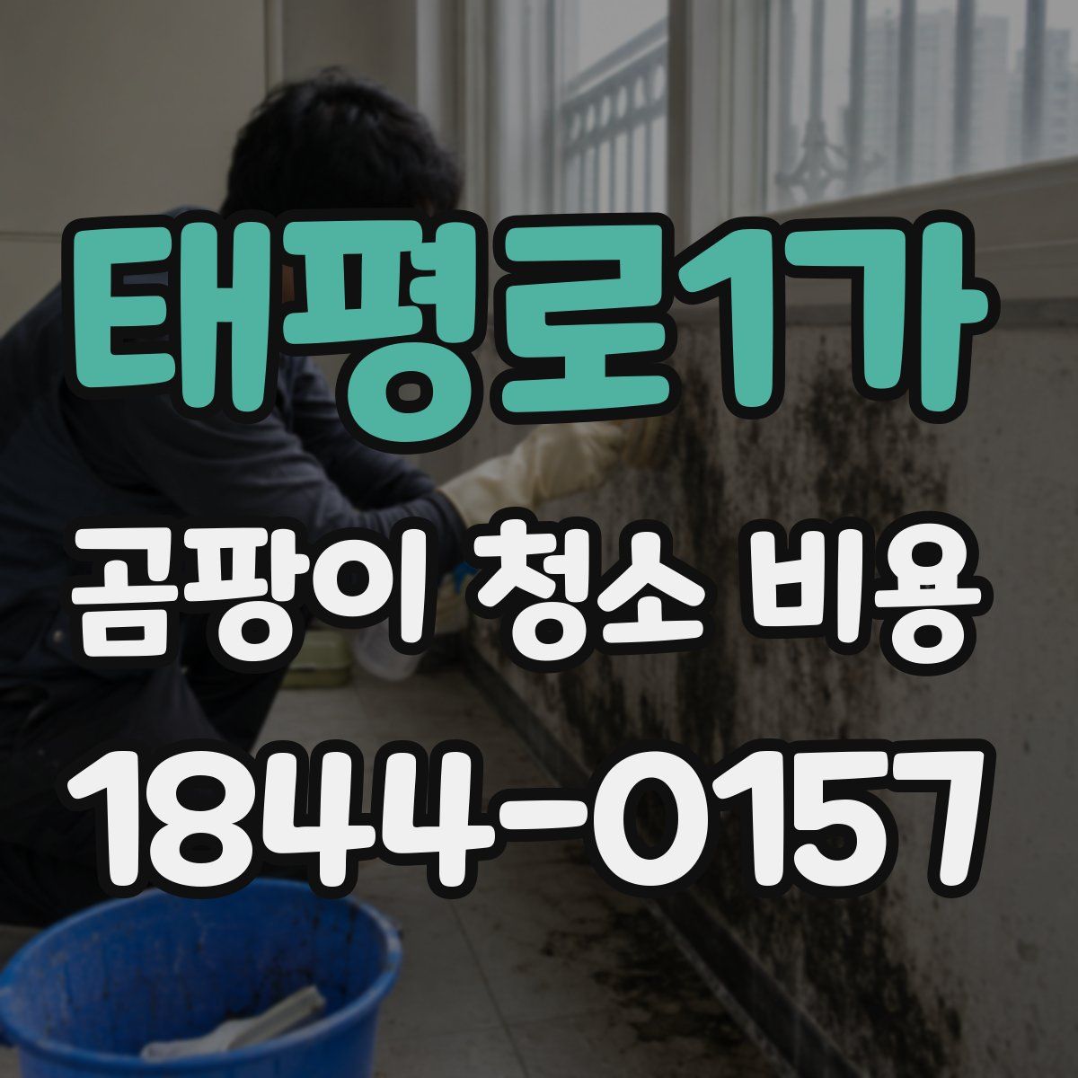 태평로1가 곰팡이 청소 비용