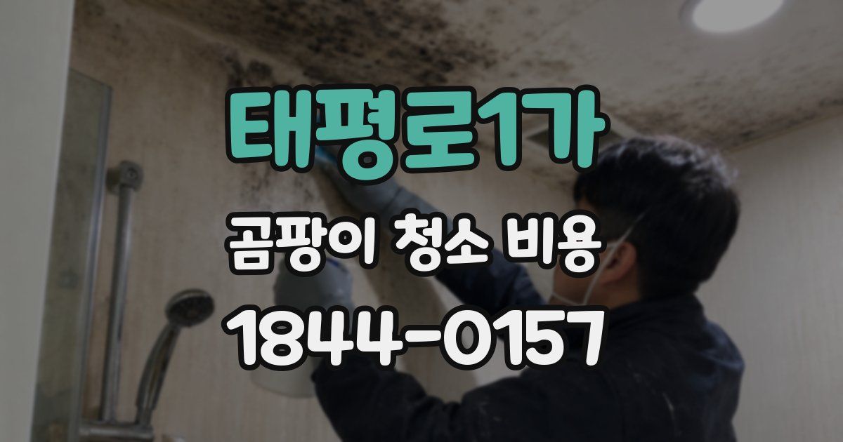 태평로1가 곰팡이 청소 비용
