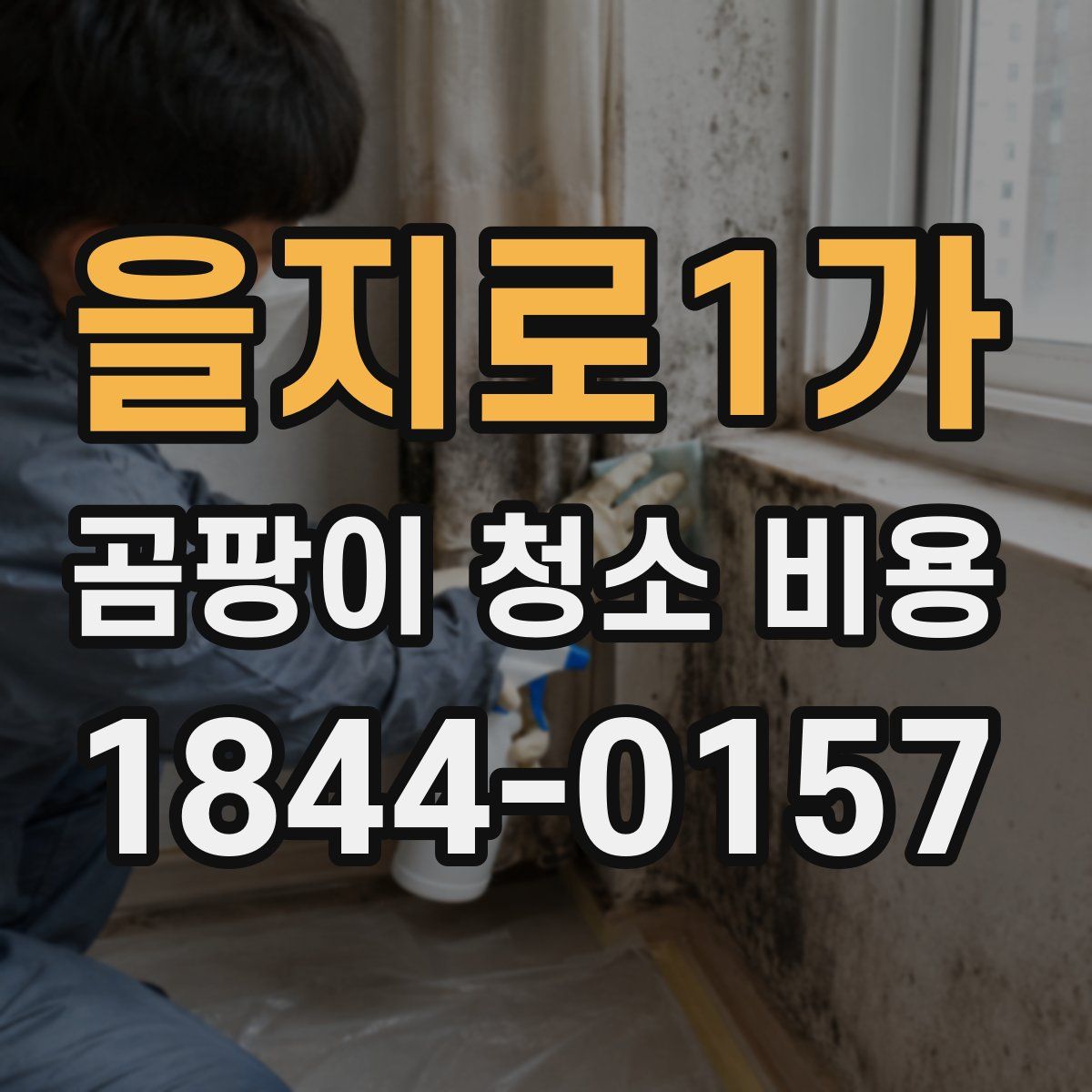 을지로1가 곰팡이 청소 비용