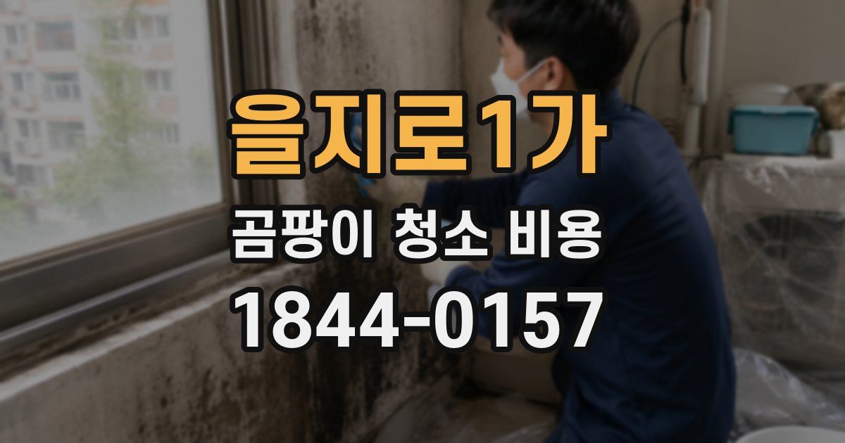 을지로1가 곰팡이 청소 비용
