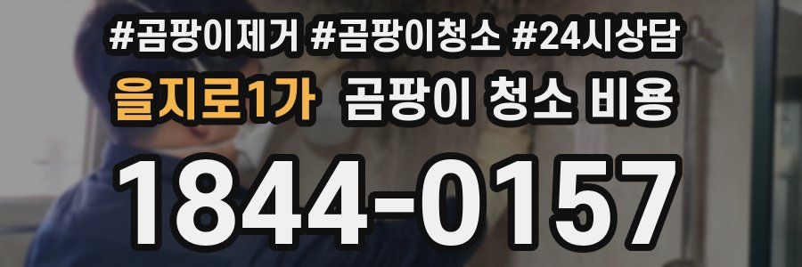 을지로1가 곰팡이 청소 비용