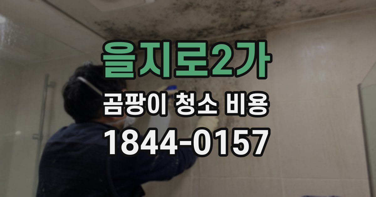 을지로2가 곰팡이 청소 비용