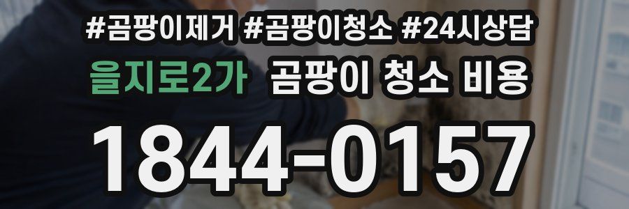 을지로2가 곰팡이 청소 비용