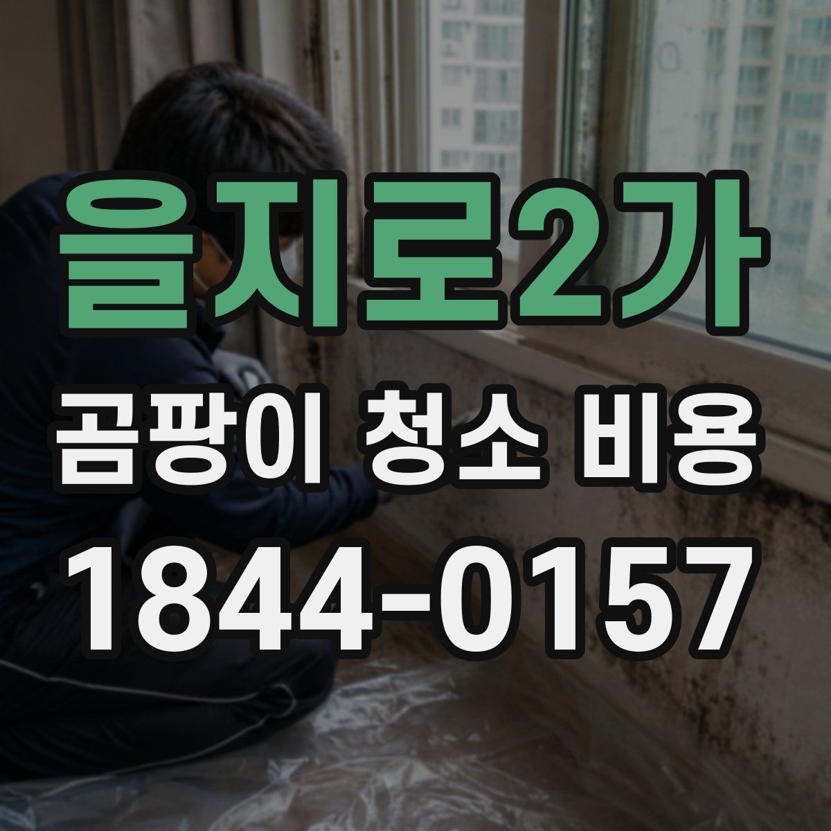 을지로2가 곰팡이 청소 비용