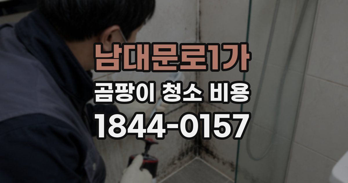 남대문로1가 곰팡이 청소 비용
