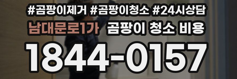 남대문로1가 곰팡이 청소 비용