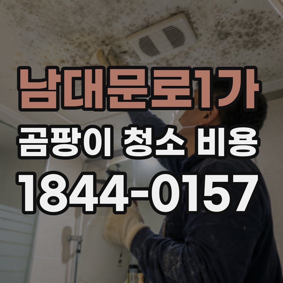 남대문로1가 곰팡이 청소 비용