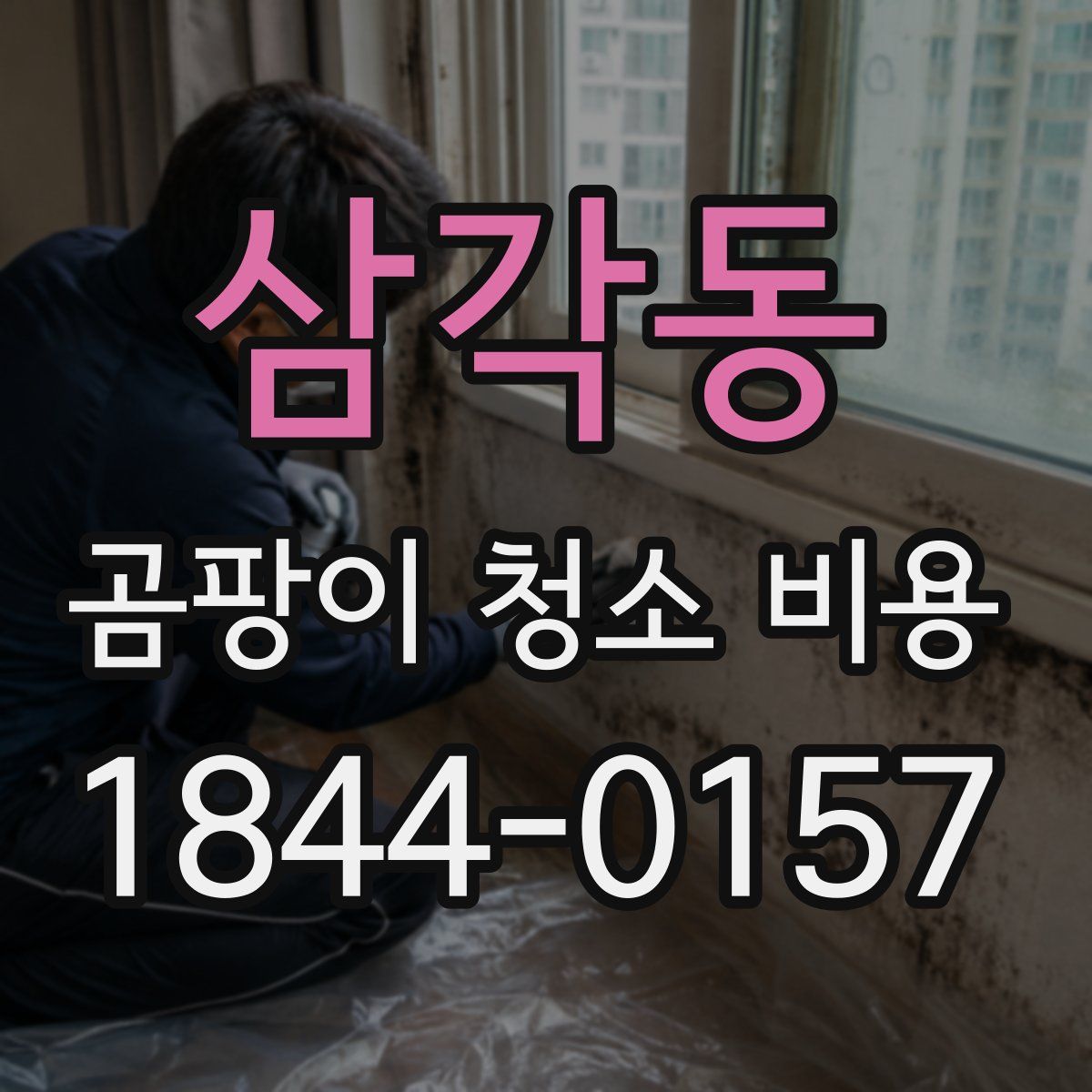 삼각동 곰팡이 청소 비용