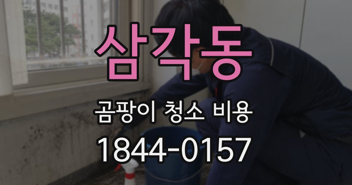 삼각동 곰팡이 청소 비용