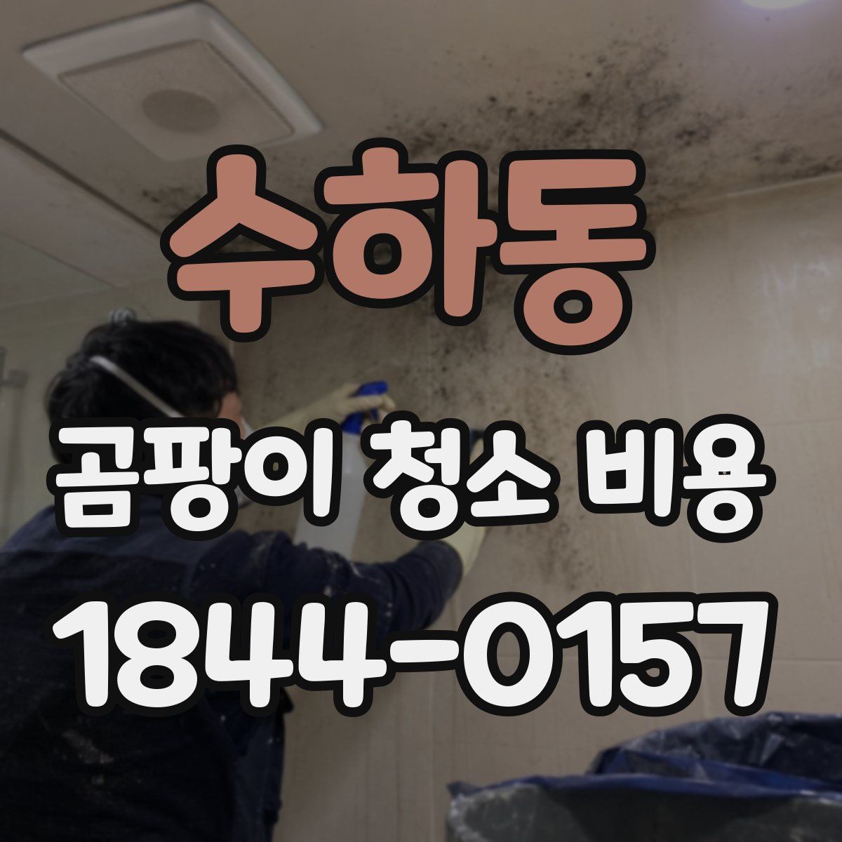 수하동 곰팡이 청소 비용
