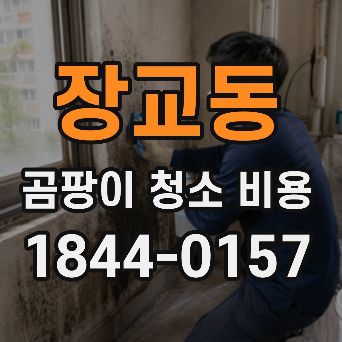장교동 곰팡이 청소 비용