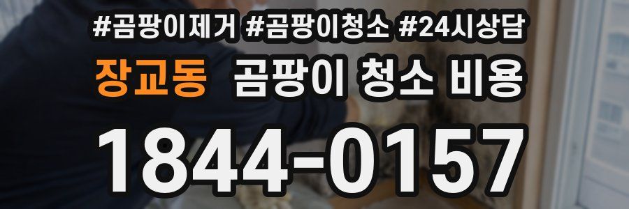 장교동 곰팡이 청소 비용