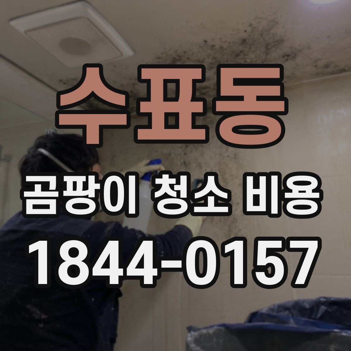 수표동 곰팡이 청소 비용 곰팡이 번식 우선 원인 체크을 함께 보는 이유