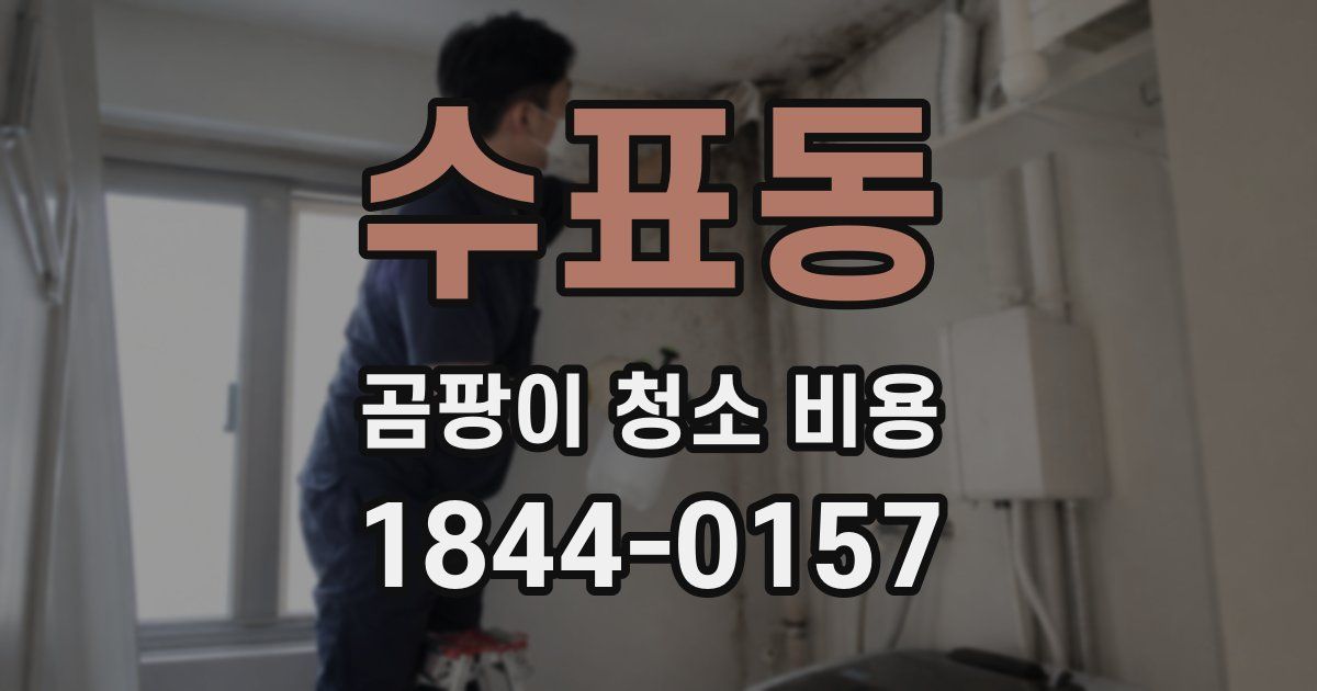 수표동 곰팡이 청소 비용