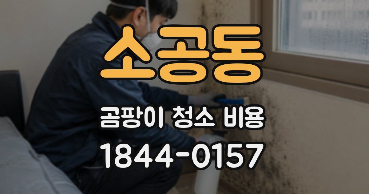 소공동 곰팡이 청소 비용