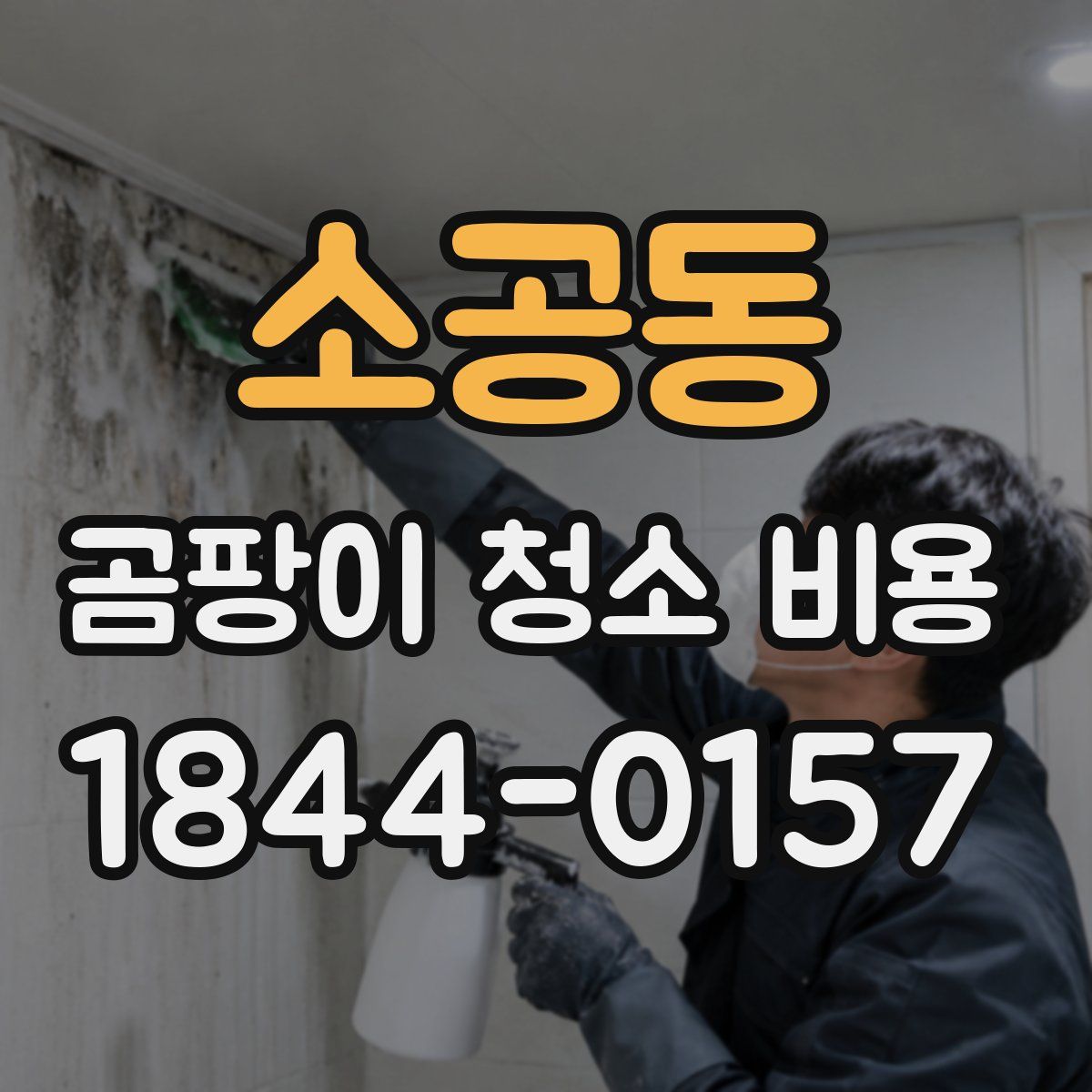 소공동 곰팡이 청소 비용