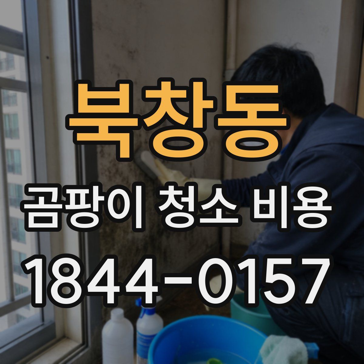 북창동 곰팡이 청소 비용