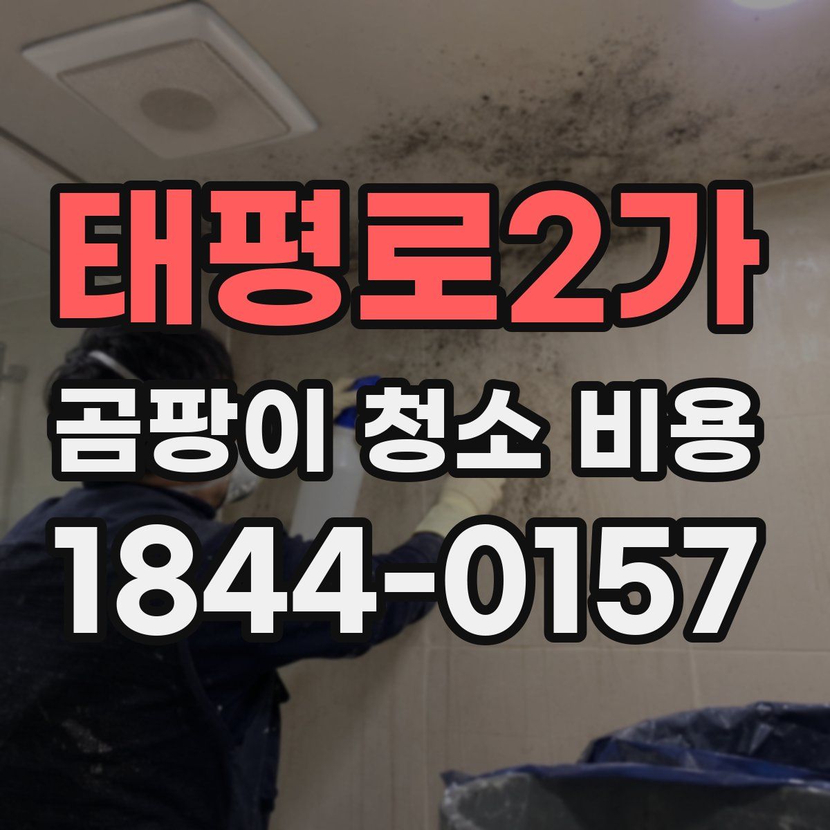 태평로2가 곰팡이 청소 비용