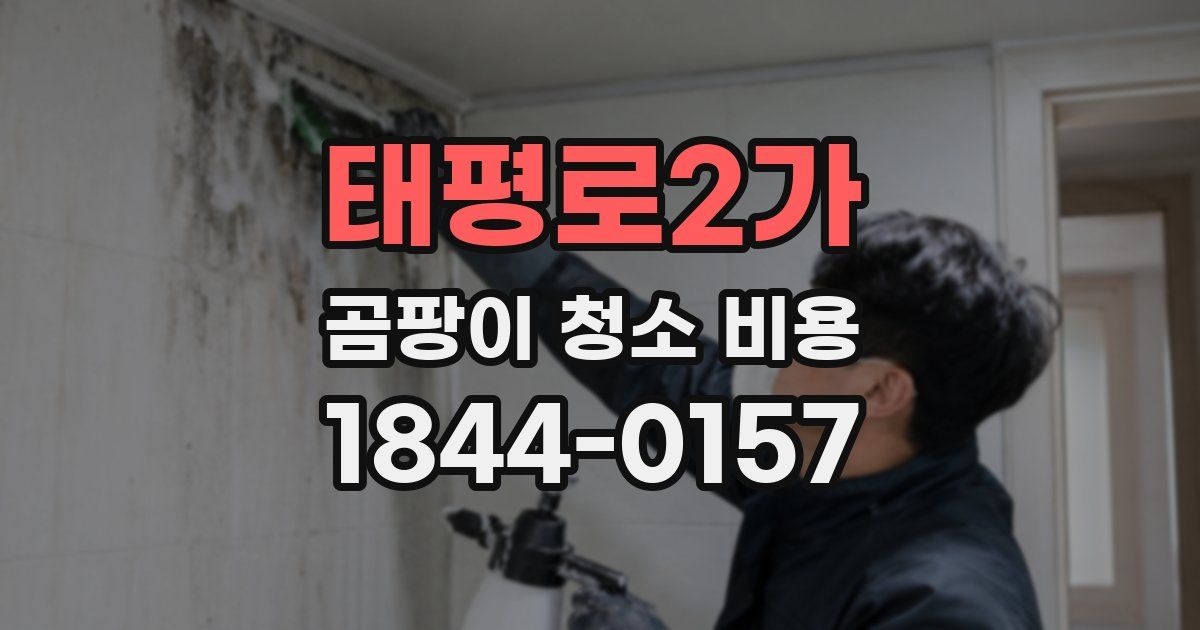 태평로2가 곰팡이 청소 비용