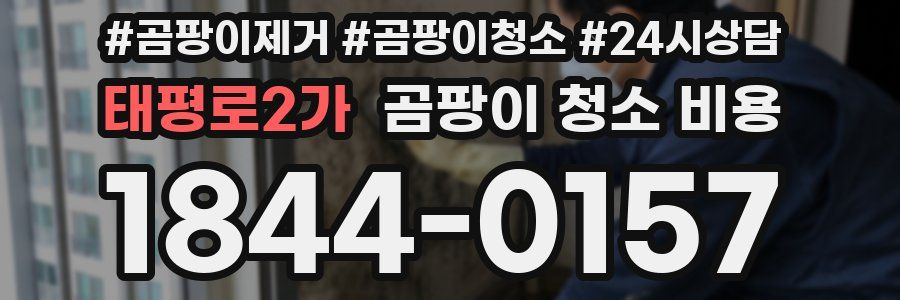 태평로2가 곰팡이 청소 비용