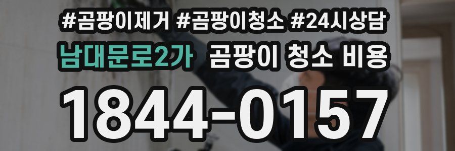 남대문로2가 곰팡이 청소 비용