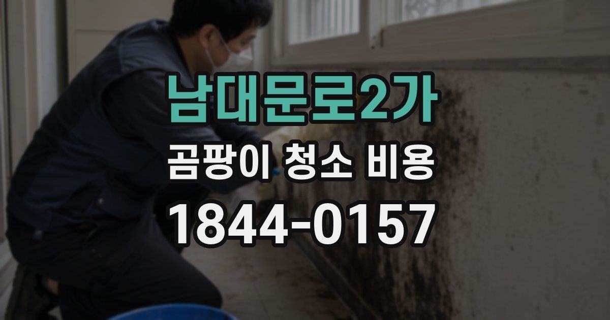 남대문로2가 곰팡이 청소 비용