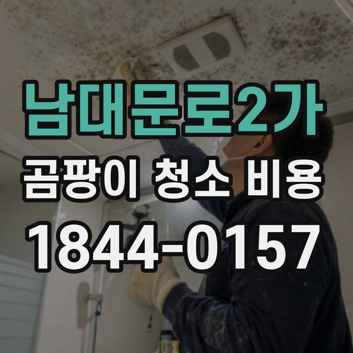 남대문로2가 곰팡이 청소 비용