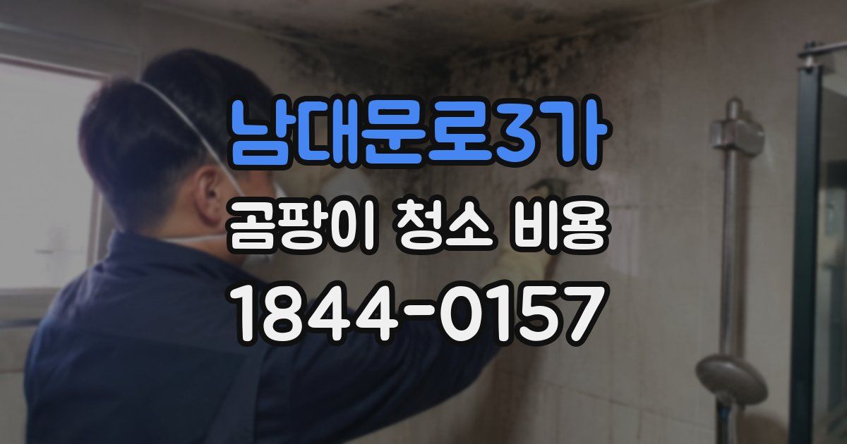 남대문로3가 곰팡이 청소 비용
