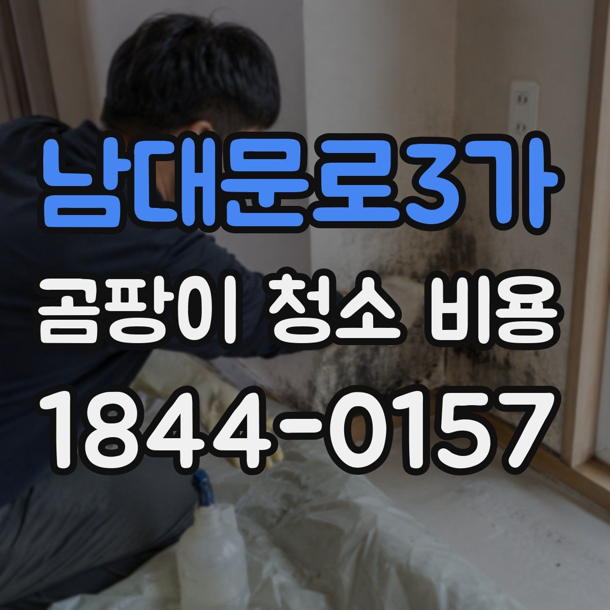 남대문로3가 곰팡이 청소 비용