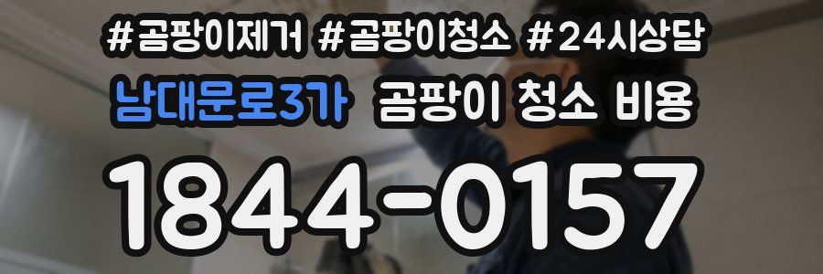 남대문로3가 곰팡이 청소 비용