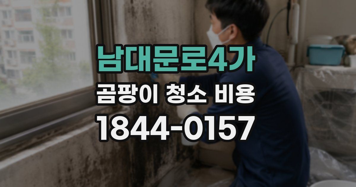 남대문로4가 곰팡이 청소 비용